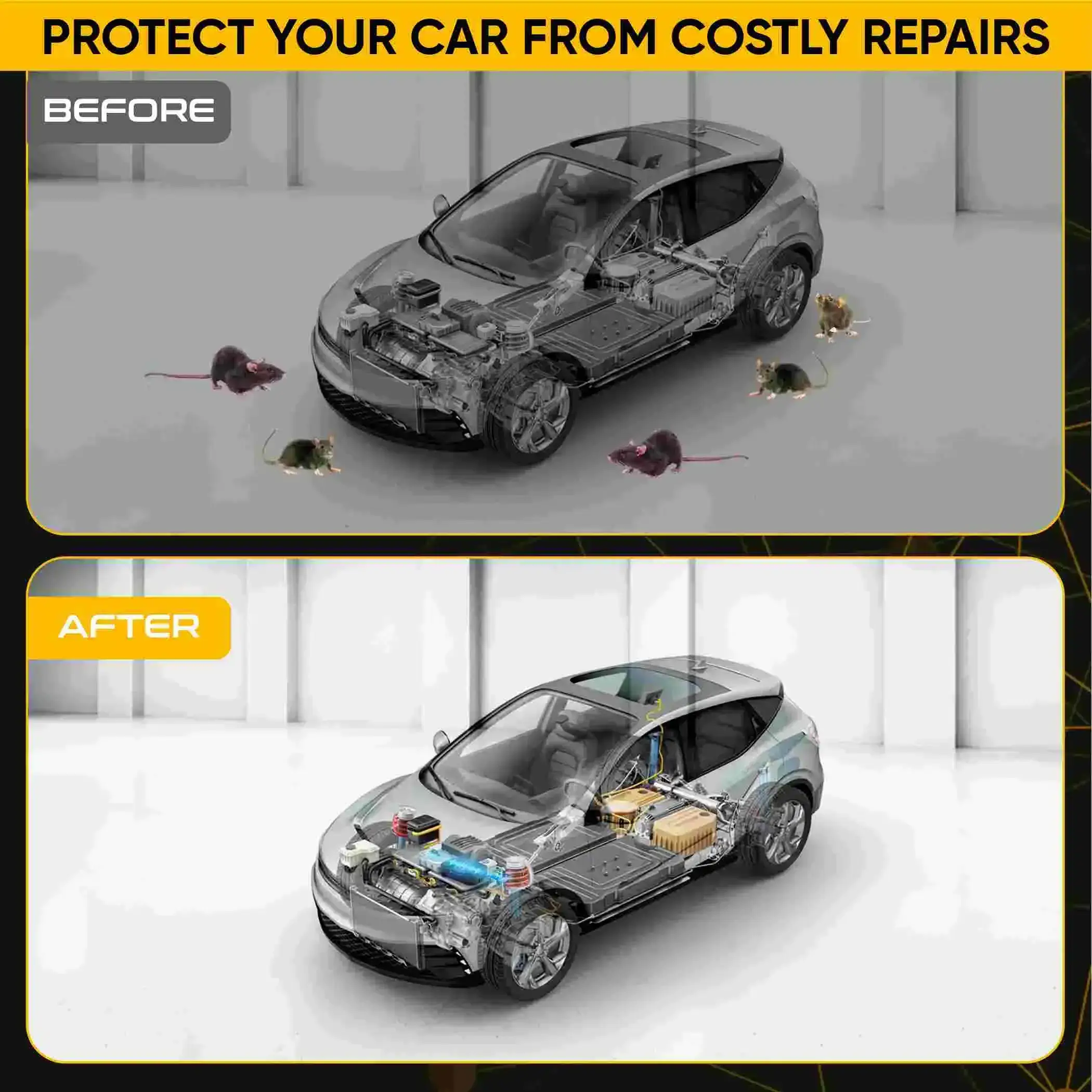 DEFENTRA Protects Cars from Rat Damage